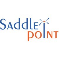 Saddle Point Workforce