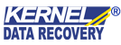 Kernel Data Recovery