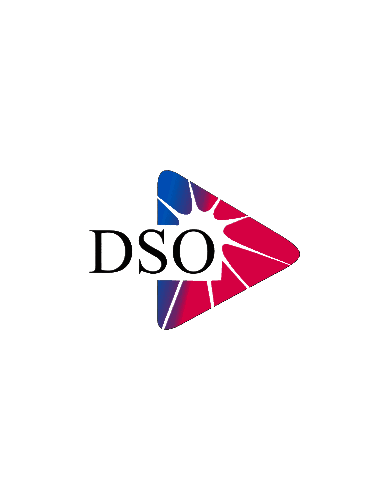 DSO Hotels 8.0