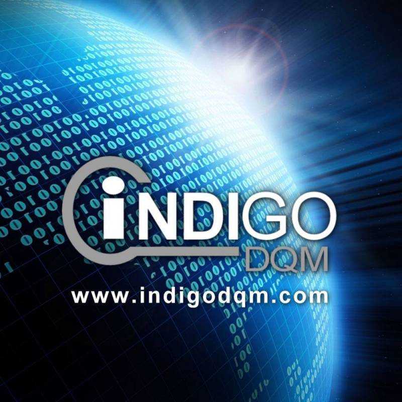 Indigo DQM Data Management