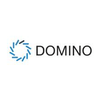 Domino