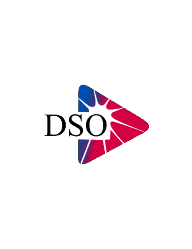 DSO Restaurants 8.0
