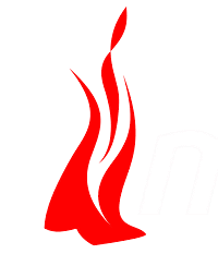 Mindfire Transport Management