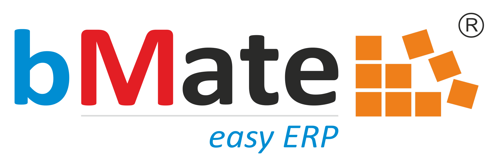 Saara bMate 9.9 easy ERP