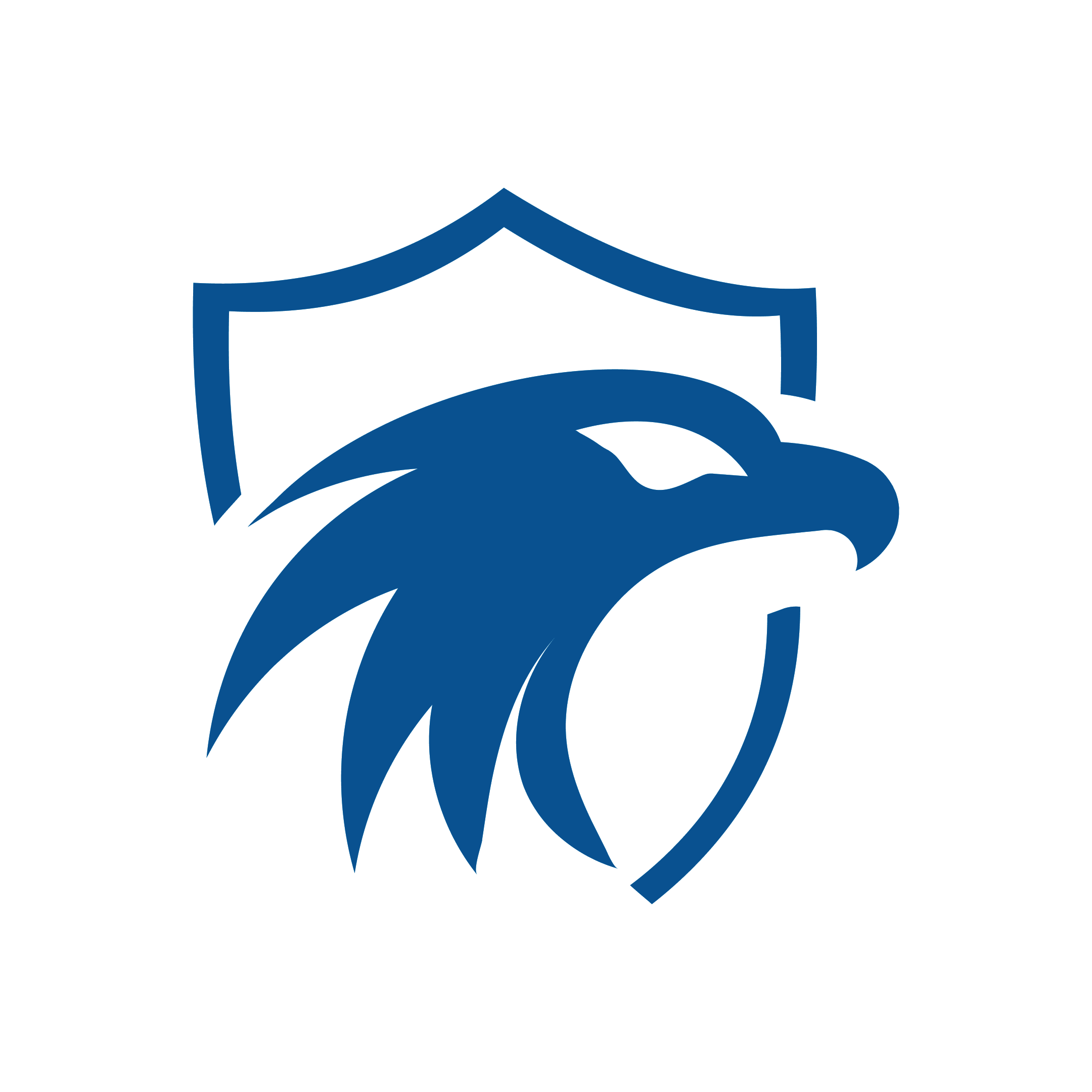 SiteHawk
