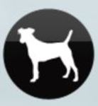 WAG