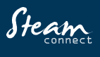 Steam