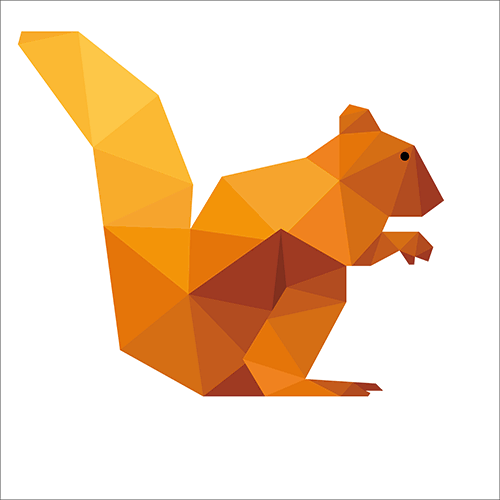 DataSquirrel.ai