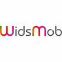 WidsMob Converter