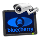 Bluecherry VS