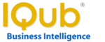 IQub BI