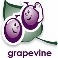 Grapevine Evaluations