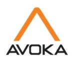 Avoka Transact