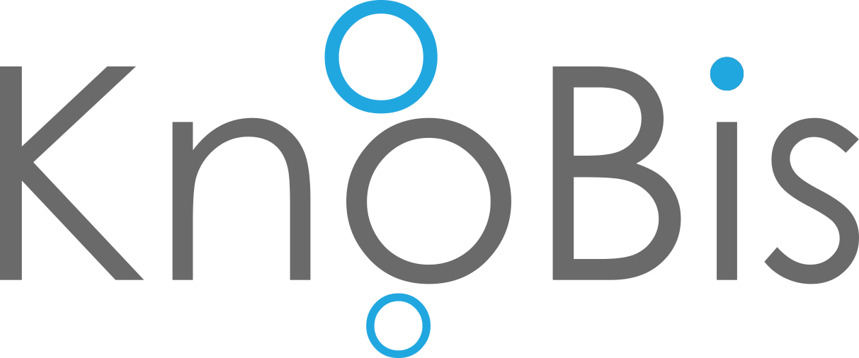 KnoBis - Knowledge Management System