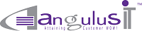 AngulusIT