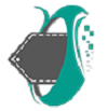 Meshink - Doctor Appointment System