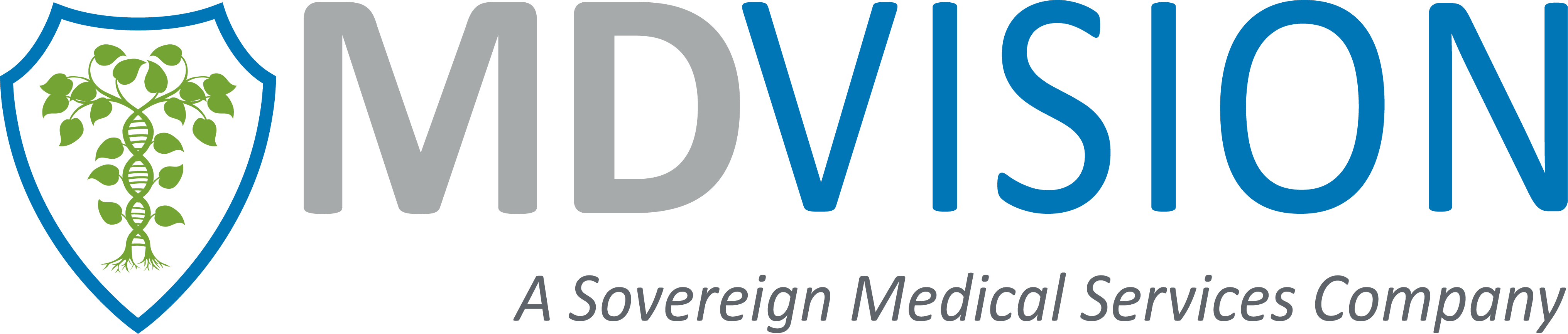 MDVision HMS