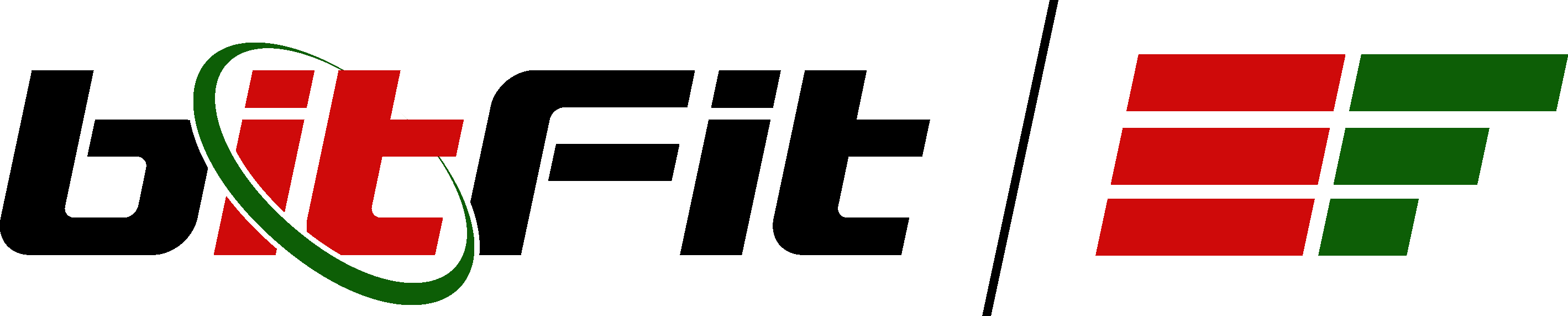 bitFit