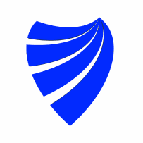 Visdum