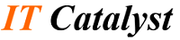 IT Catalyst