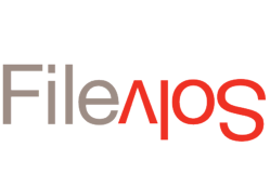 FileSolve